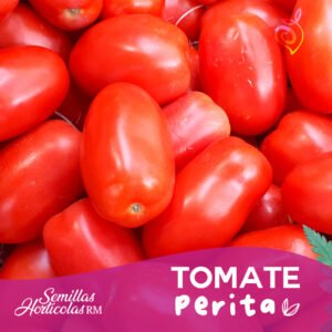 Tomate Perita