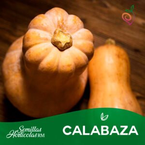 Calabaza