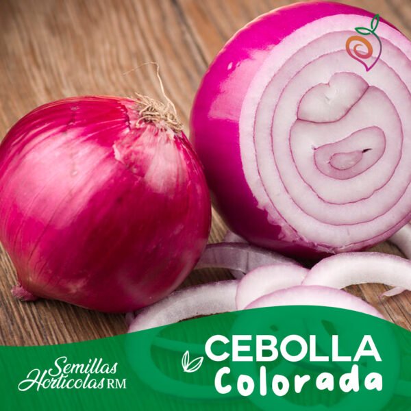 Cebolla Colorada