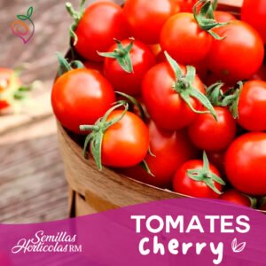Tomate Cherry