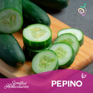 Pepino