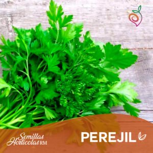 Perejil