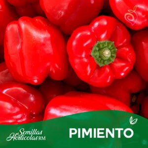 Pimiento