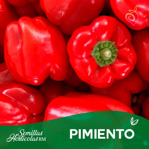 Pimiento