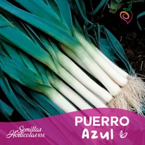 Puerro Azul