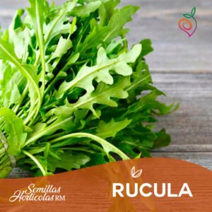 Rúcula