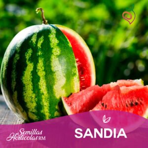Sandía