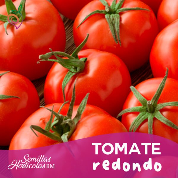 Tomate Redondo