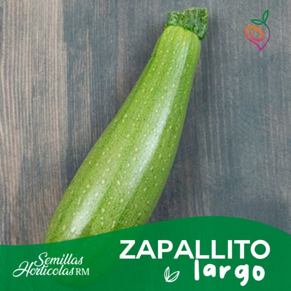 Zapallito Largo